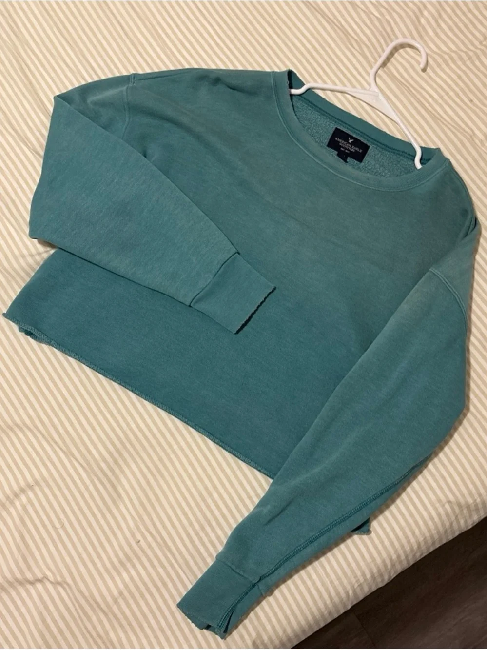 American Eagle Cropped Sweatshirt